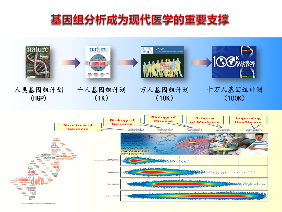 基于人工智能的基因组自动注释 PPT(42页) 第4页