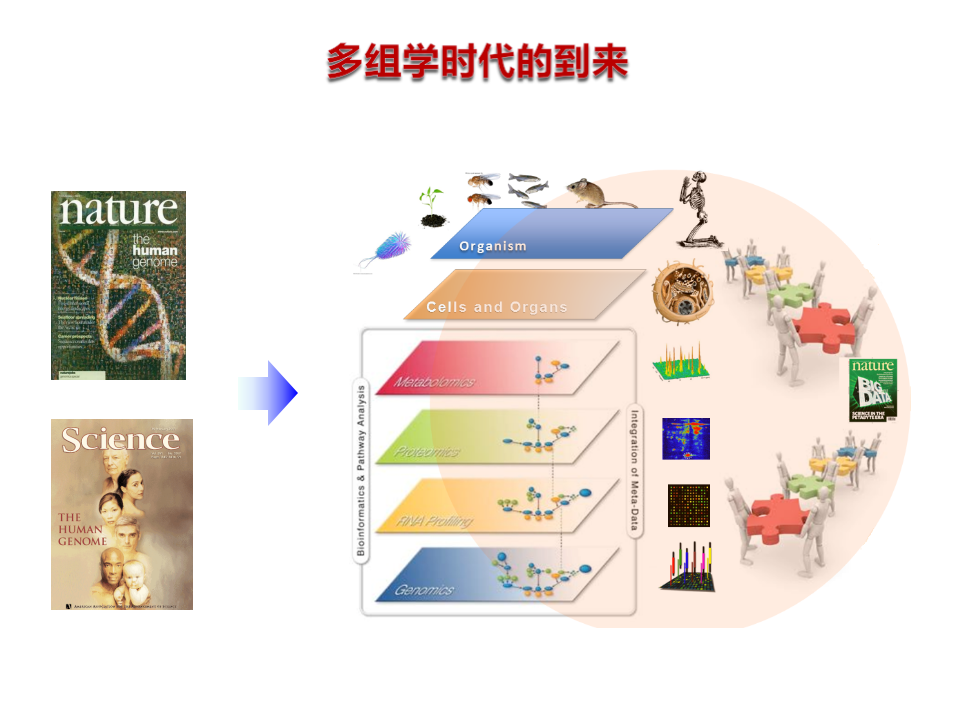 基于人工智能的基因组自动注释 PPT(42页) 第7页