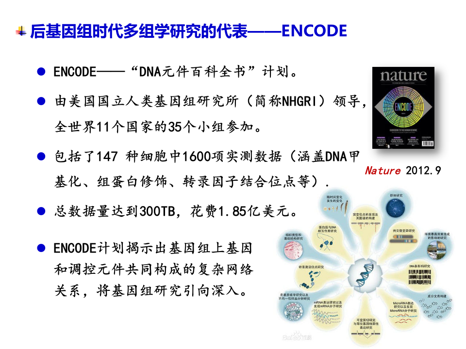 基于人工智能的基因组自动注释 PPT(42页) 第8页