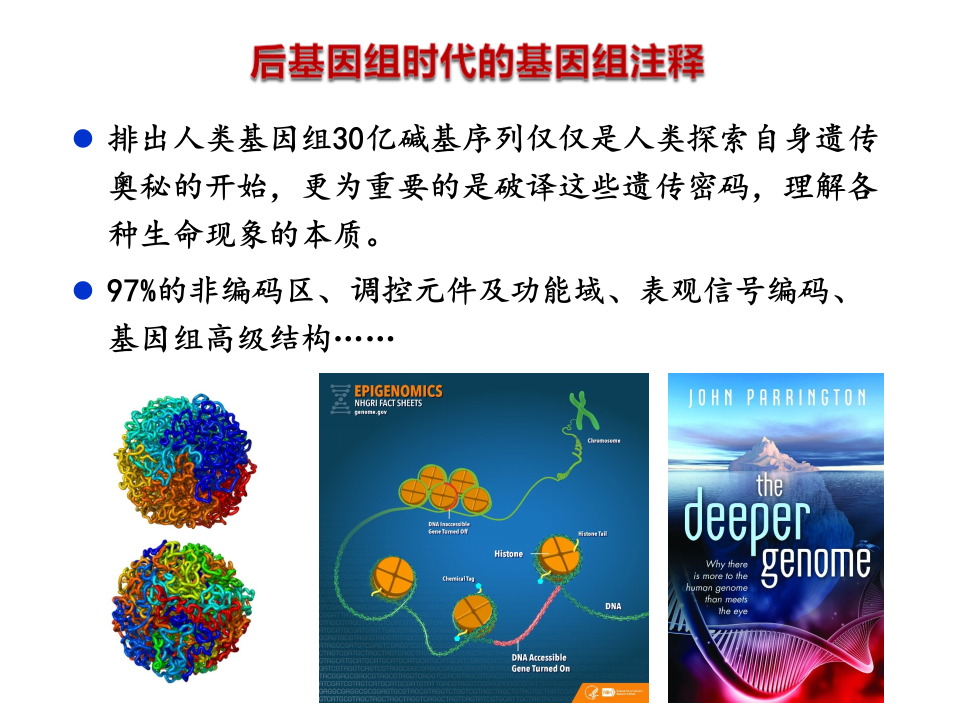 基于人工智能的基因组自动注释 PPT(42页) 第6页