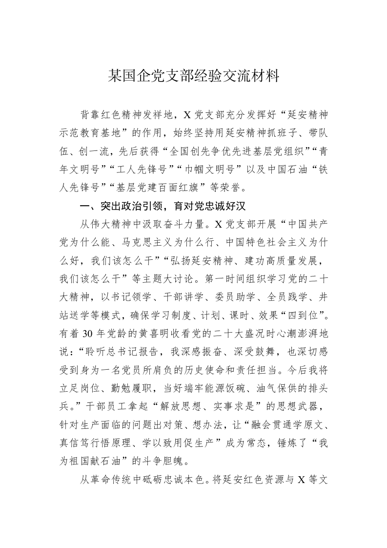 某国企党支部经验交流材料 第1页