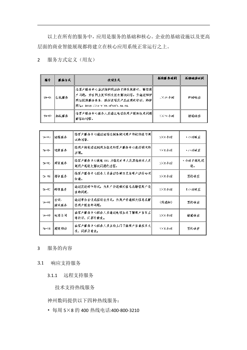 神州数码ERP运维解决方案 Word(31页) 第6页