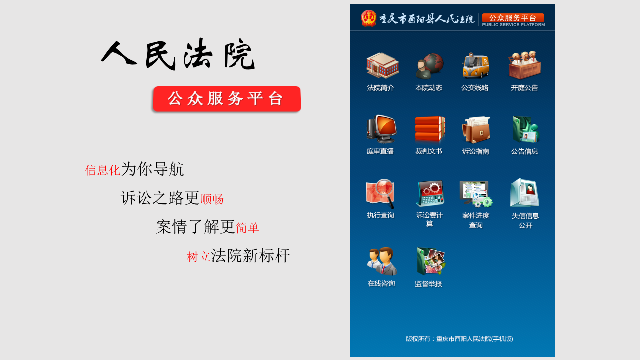 人民法院公共服务平台 PPT(14页) 第3页