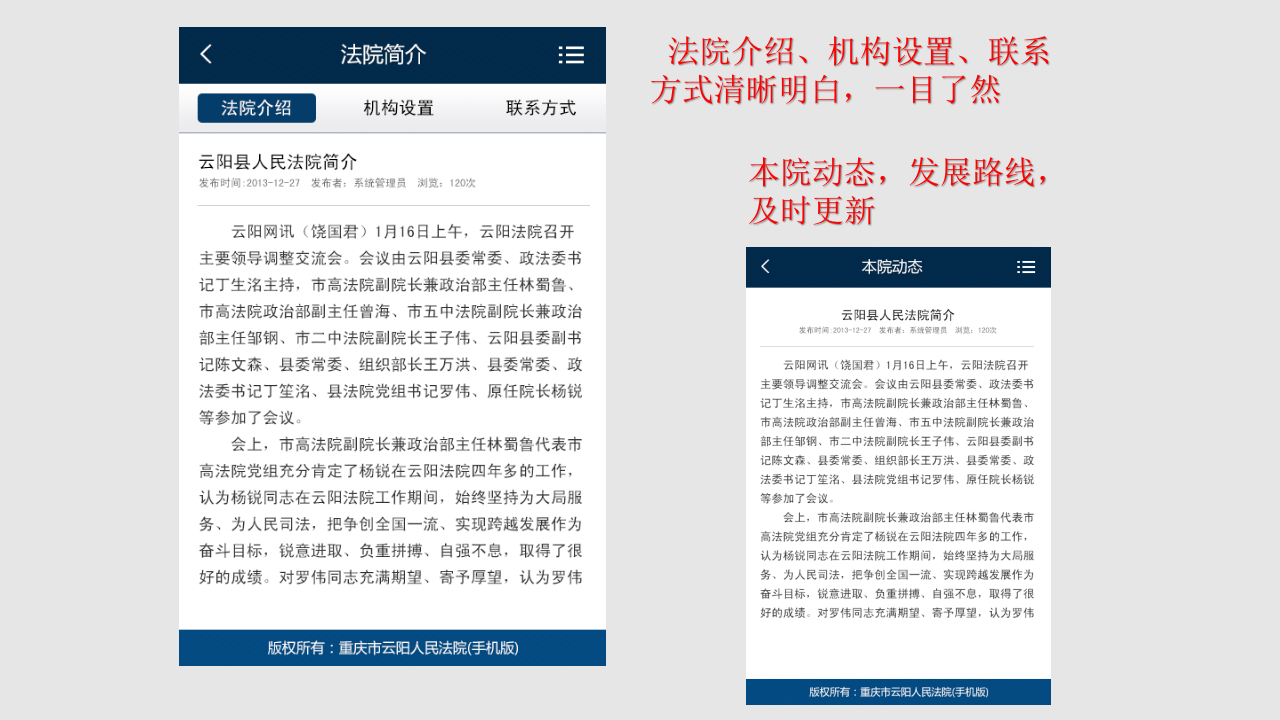 人民法院公共服务平台 PPT(14页) 第5页