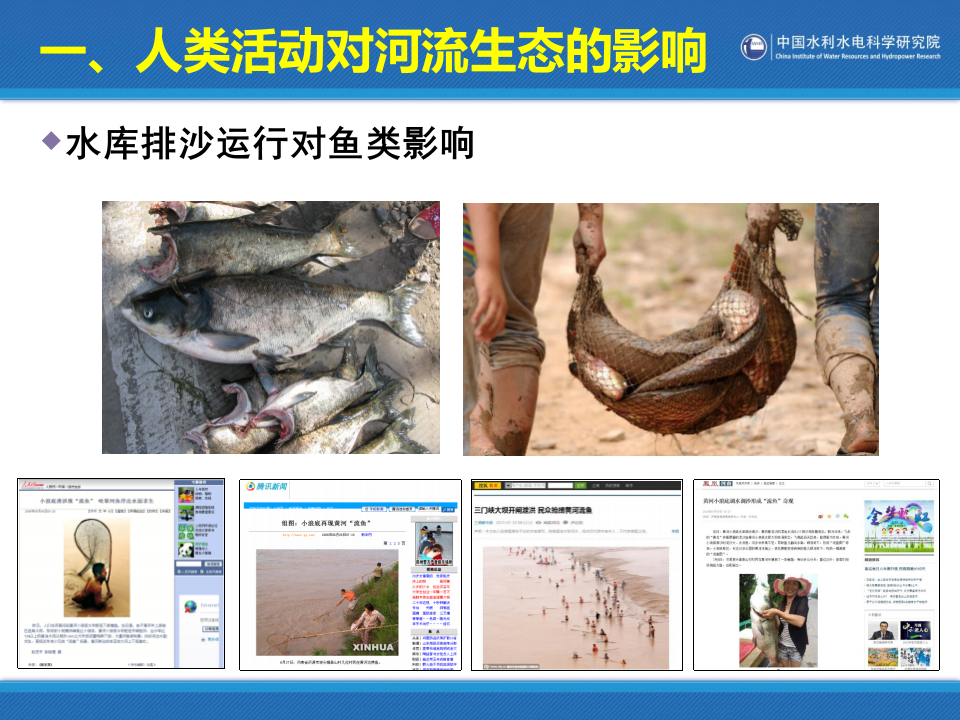 中国水利水电科学研究院&middot;河流生态修复中的若干问题研究 PPT(39页) 第5页