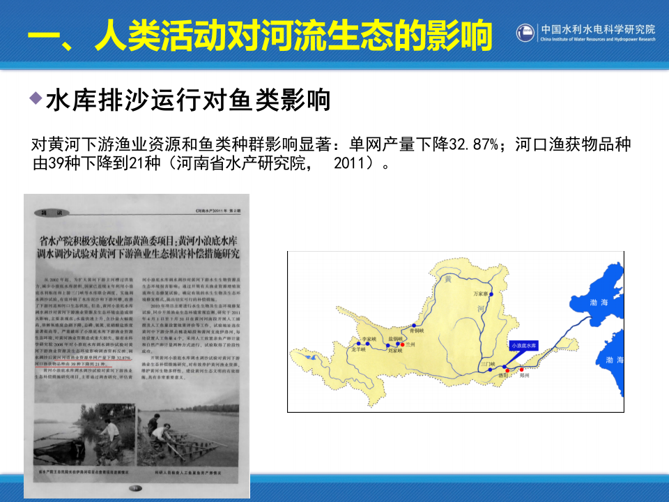 中国水利水电科学研究院&middot;河流生态修复中的若干问题研究 PPT(39页) 第7页