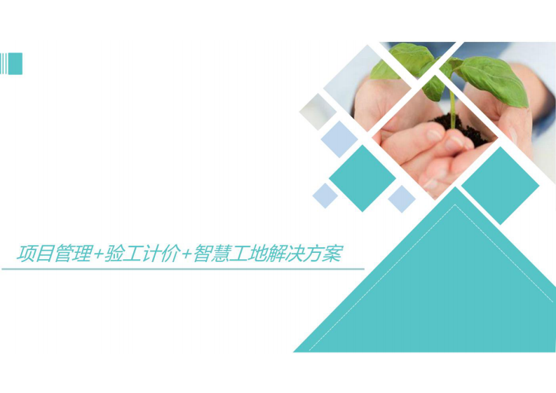 项目管理+验工计价+智慧工地解决方案 图片型PDF(56页) 第1页