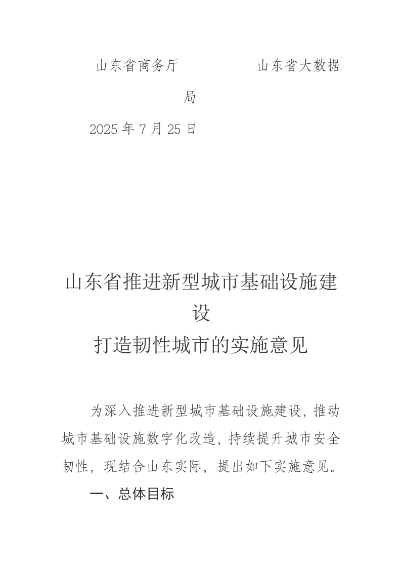 山东省推进新型城市基础设施建设 打造韧性城市的实施意见 第2页
